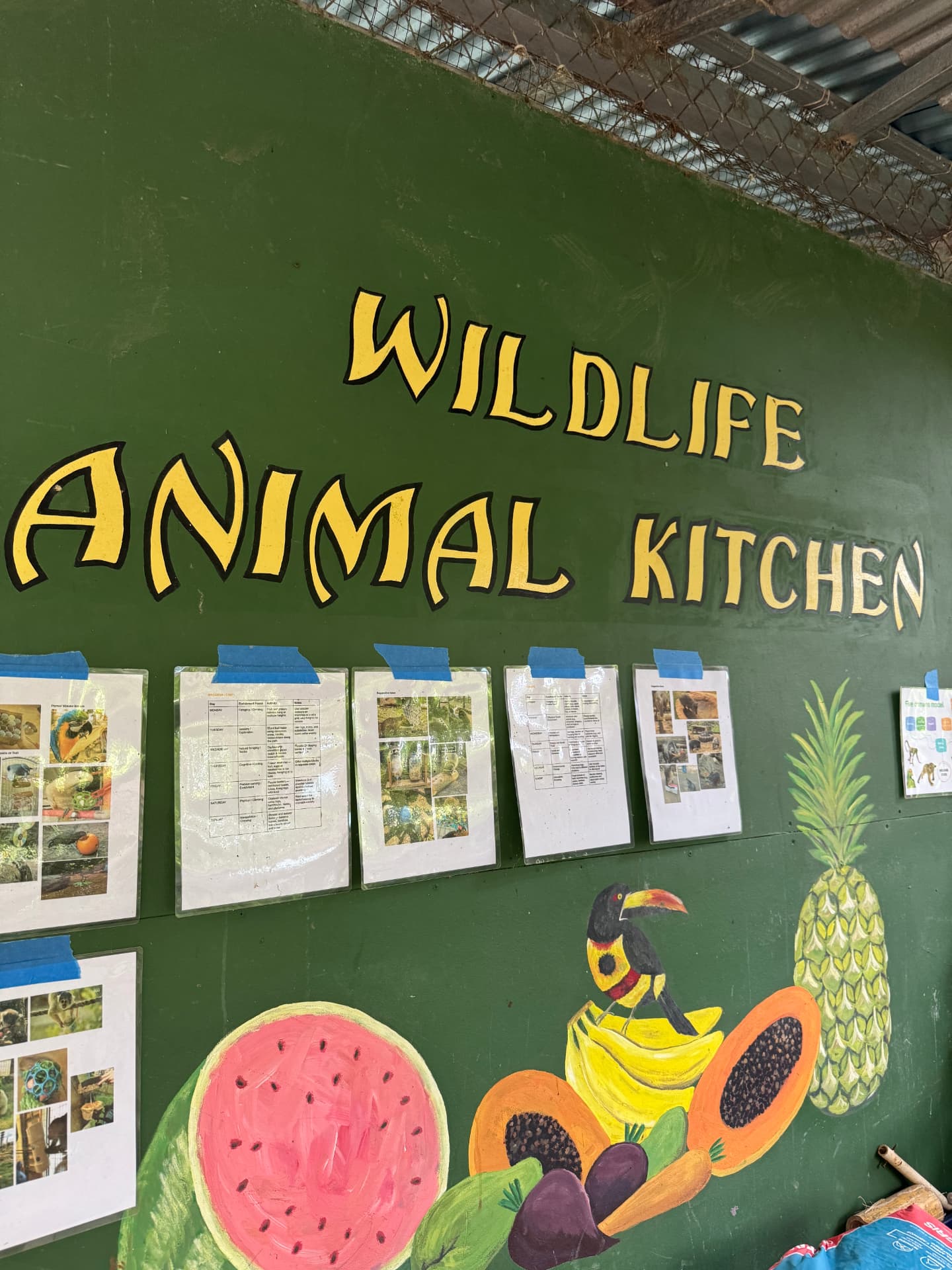 Hand-painted 'Wildlife Animal Kitchen' sign with feeding charts taped below it